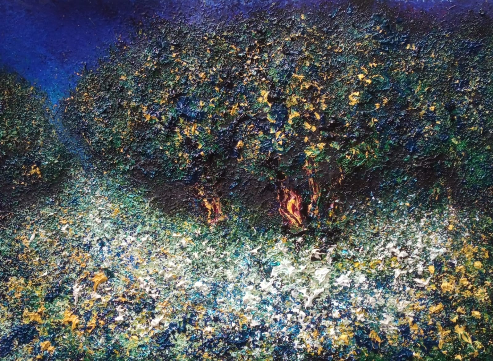Moonlit Grove
